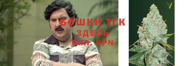 соль ск Алексин
