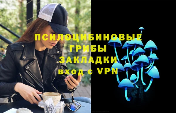 соль ск Алексин