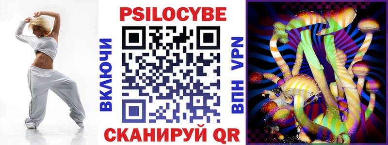 Псилоцибиновые грибы Cubensis блэк спрут зеркало Катайск
